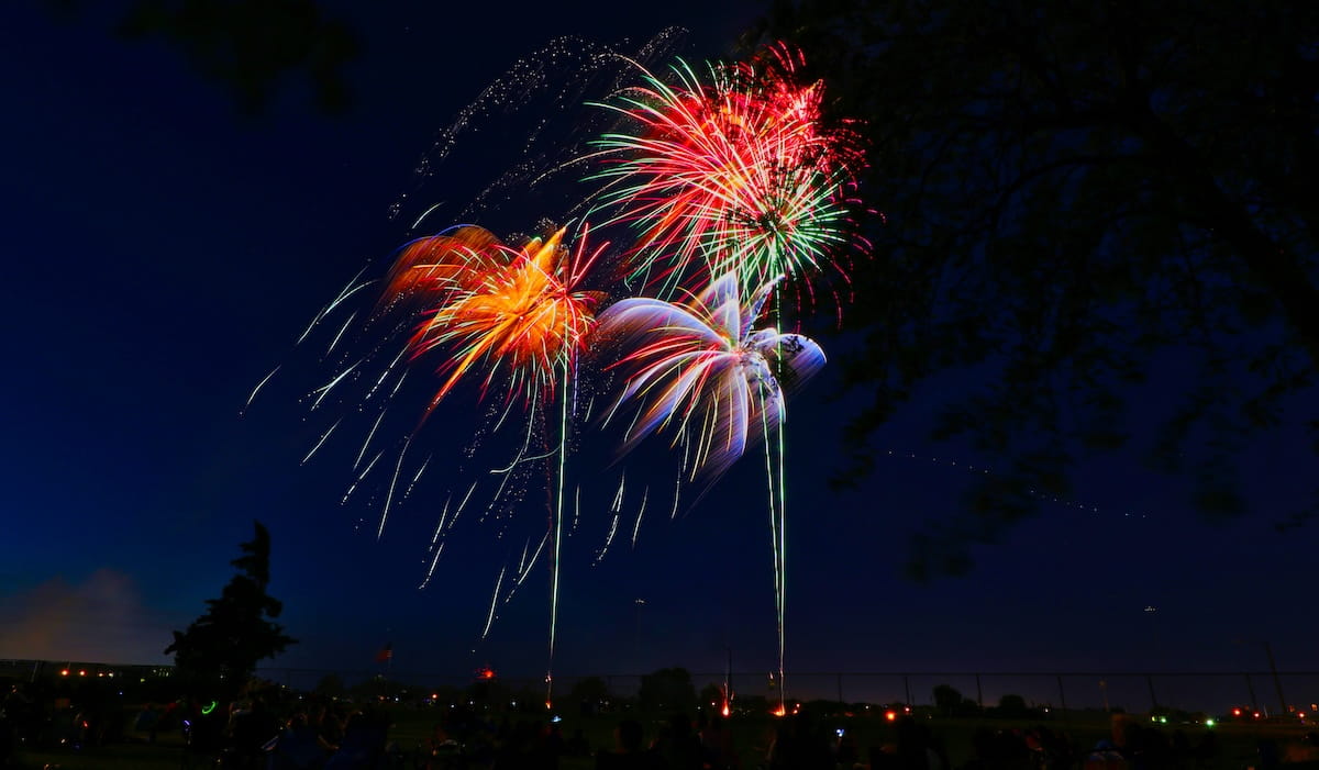 A dog resting at home during fireworks season